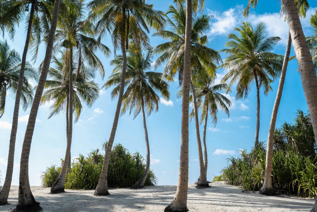 accommodation rote island