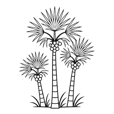 Lontar palm forests, Rote Island culture